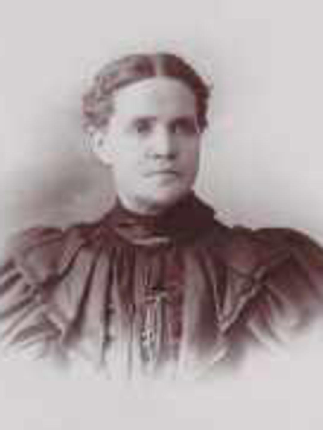 Hannah Holt (1852 - 1918) Profile